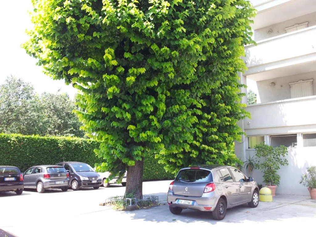 Hotel Post — foto 13